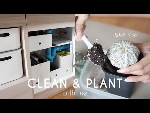 VLOG|Clean&PlantwithMeย