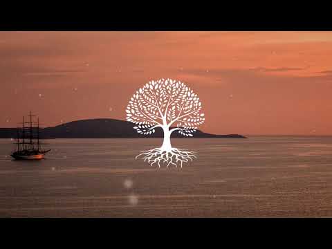 He's A Pirate - Hans Zimmer vs Dimitri Vegas & Like Mike