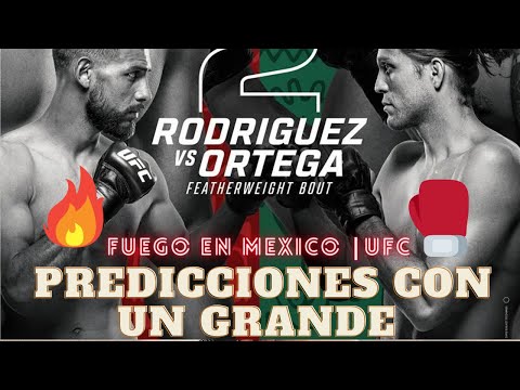 UFC MEXICO: ANALISIS Y PREDICCIONES