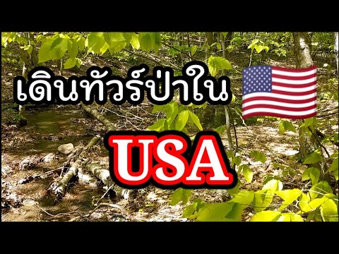 Ep.72-แพมมี่พาเลาะ-#เดินป่าในอ Ep.72-แพมมี่พาเลาะ-#เดินป่าในอ