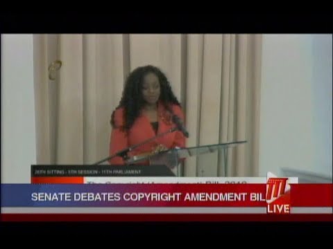 Senate Debates Copyright Amendment Bill