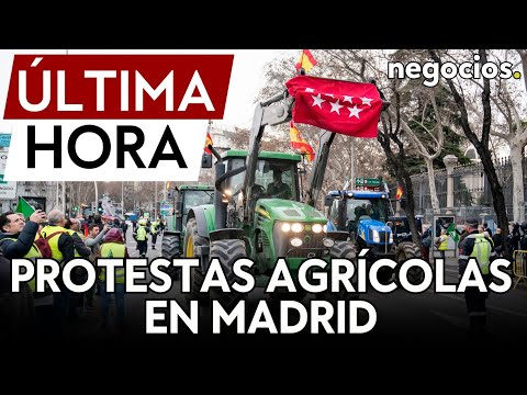ÚLTIMA HORA | Los tractores llegan a Madrid con 200 agricultores pidiendo que Planas les reciba
