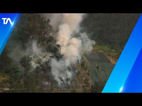 Incendio forestal provocó una gran humareda en El Trébol
