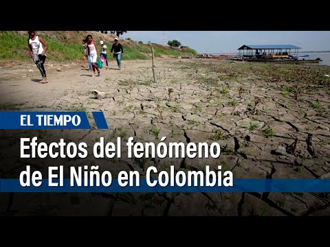 Resultados de la lucha contra incendios forestales en medio de fenómeno de El Niño | El Tiempo