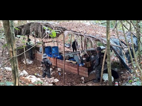 Ejército localiza y destruye narcolaboratorio en San Luis, Petén