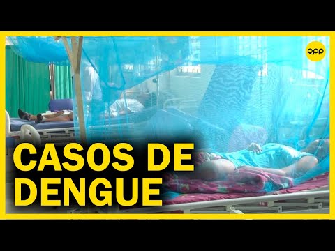 Dengue en el Perú: Emiten alerta epidemiológica por incremento de casos