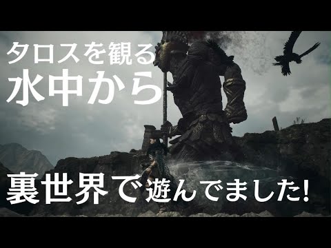 Dragon's Dogma 2【水中から観るタロス】ドラゴンズドグマ2