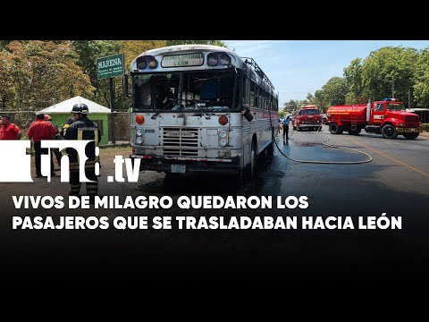 Momentos de pánico: Incendio en bus con destino a León deja pasajeros conmocionados