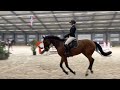 حصان القفز Talentvol 6 jarig springpaard - Marjolita