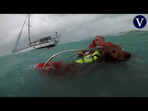 Heroico salvamento de un hombre y su perro en un velero hundido por el huracán Helene