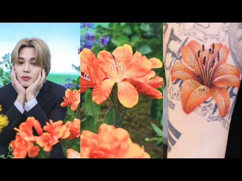 JIMIN Y FLOR DE NACIMIENTO JUNGKOOK | JK: POR FAVOR ÁMAME, JM: TE AMO BABE, SÍ SEÑOR, SERENADE