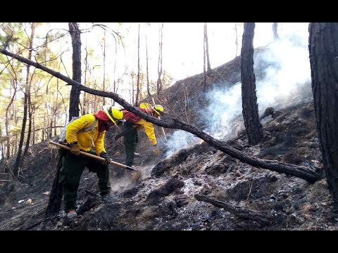Controlan incendio forestal en Baja Verapaz