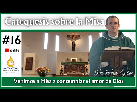 Catequesis sobre la Misa #16 - Vamos a Misa a contemplar el amor de Dios - Padre Rodrigo Aguilar