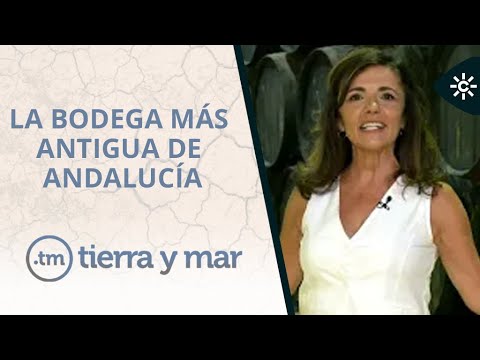 Tierra y Mar | La vendimia y el verdeo