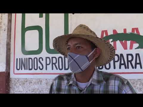 Cuba: Campesinos trabajan en la diversificación de sus producciones en Mayabeque