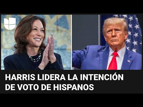 Votantes hispanos apoyan en su mayoría a Kamala Harris, según encuesta: ¿qué puede hacer Trump?