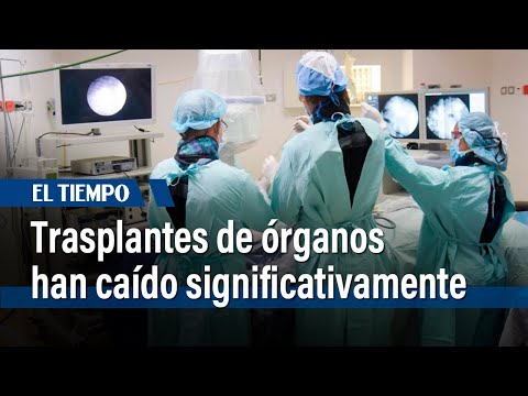 Trasplantes de órganos han caído significativamente en Bogotá | El Tiempo