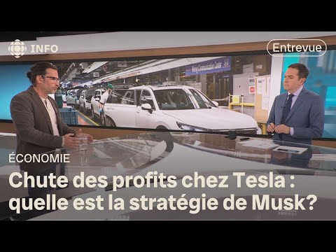 Chute des profits chez Tesla | Zone économie