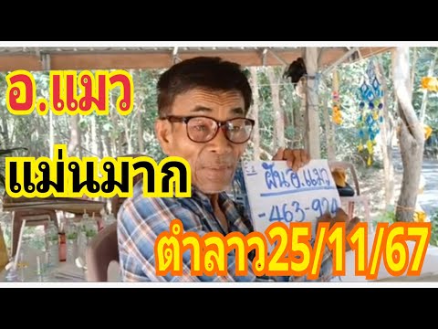 อ.แมวแม่นมากตำลาว251167