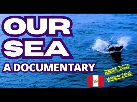 OUR SEA: The Secrets and Challenges of the Peruvian Sea Today | Documentary in english