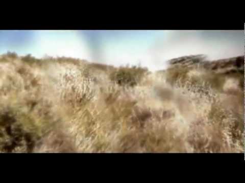 Video: Pigios narkotines medziagos - daro savo