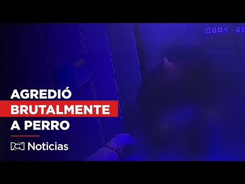 En video: hombre golpeó brutalmente a un perro en Antioquia