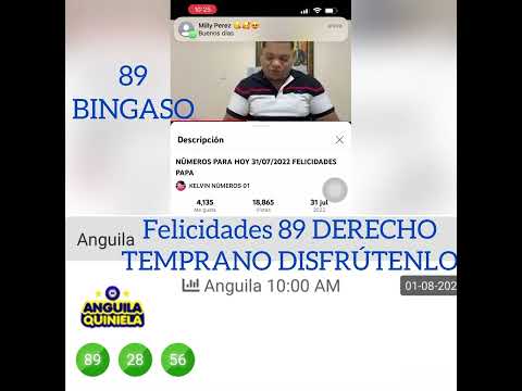 BINGASO 89 DERECHO LOTERÍA ANGUILA