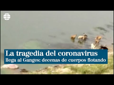 La tragedia del coronavirus llega al Ganges