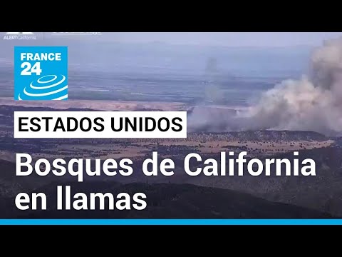 EE. UU.: los bosques de California arden, pero la temporada de incendios apenas comienza