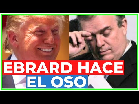 OSO MONUMENTAL: el VIDEO de TRUMP que ENFURECIÓ a EBRARD ySHEINBAUM, y terminaron HUMILLADOS