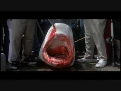 Video: Štai ryklys - kuris prarijo Susan Boyle