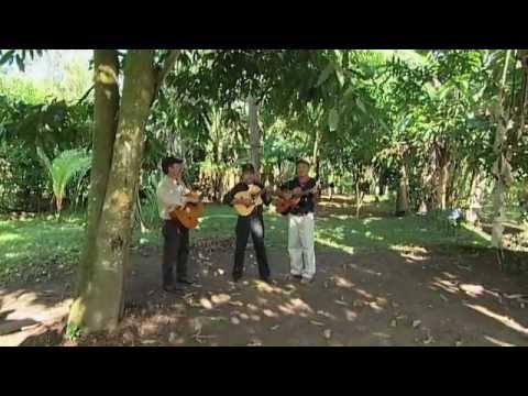 American / Sandinista