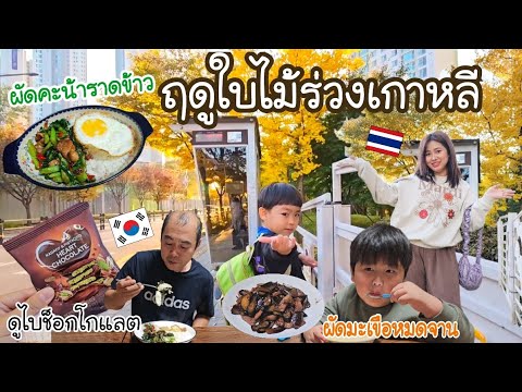 EP.981แม่บ้านเกาหลีฤดูใบไม้ร