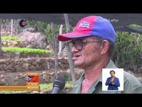 Cuba: Se hacen grandes esfuerzos en la agricultura para autoabastecimiento en Guantánamo