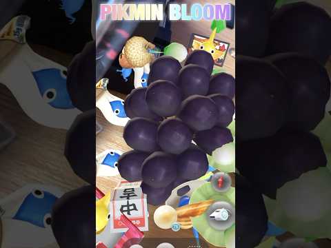 フルーツ回収🍇✨🍋✨ #ピクミン #pikminbloom #pikmin