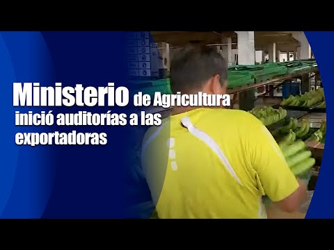 Ministerio de Agricultura inició auditorías a las exportadoras