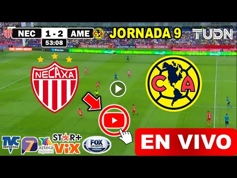 Necaxa vs. América en vivo, donde ver, a que hora juega Necaxa vs. América Liga MX Apertura 2024