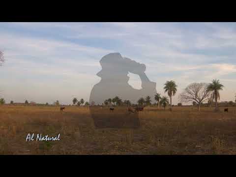 SNT Al Natural: Ecorregiones del Chaco