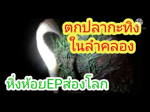 ตกปลาสายคลอง.หิ่งห้อยEPส่องโ