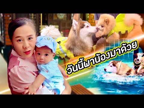 น้องรอก่อนนะพี่ต้นข้าวเล่นกับ