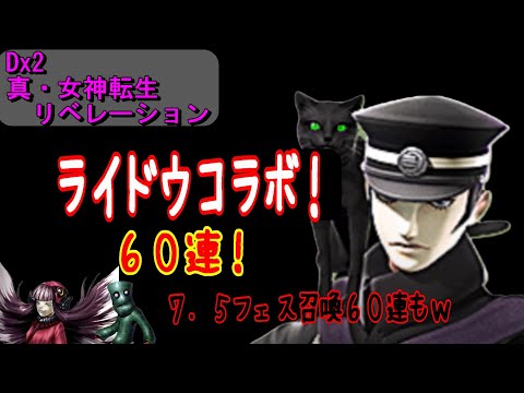 【D2メガテン】ライドウコラボ　６０連＆7.5フェス60連