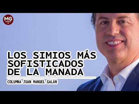 LOS SIMIOS MÁS SOFISTICADOS DE LA MANADA  Columna de Juan Manuel Galán