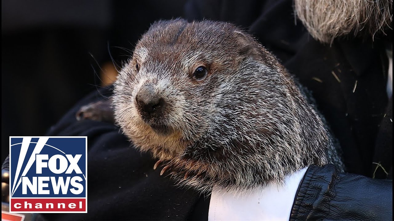 Punxsutawney Phil predicts six more weeks of winter during Groundhog Day celebration