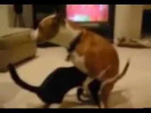 Video: Draugs draugs - kol israuks :D