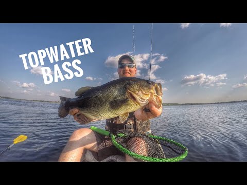 top water bass