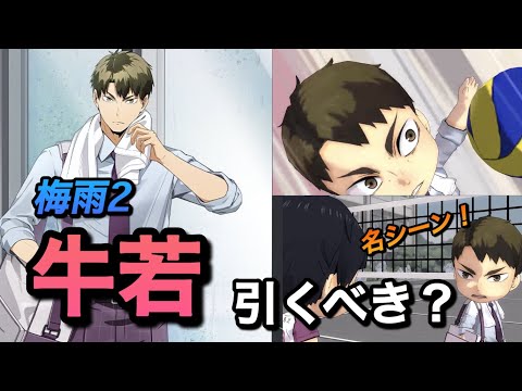 【ハイドリ】梅雨2・牛若!本当に強いの?オススメ度を解説!【無課金/ハイキュー!!TOUCH THE DREAM】