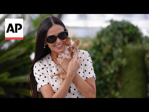Cannes canines - actors share limelight with dogs