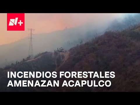 Tres incendios amenazan colonias y áreas protegidas de Acapulco - En Punto