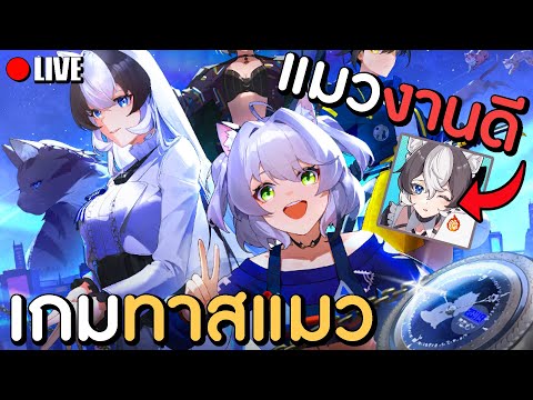 มาดูแมวกับผมมั้ย..แจกสุ่มกาชา