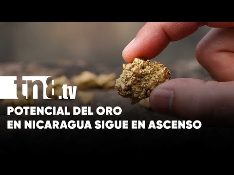 Oro en Nicaragua se encamina a exportar los US$ 1,000 millones
